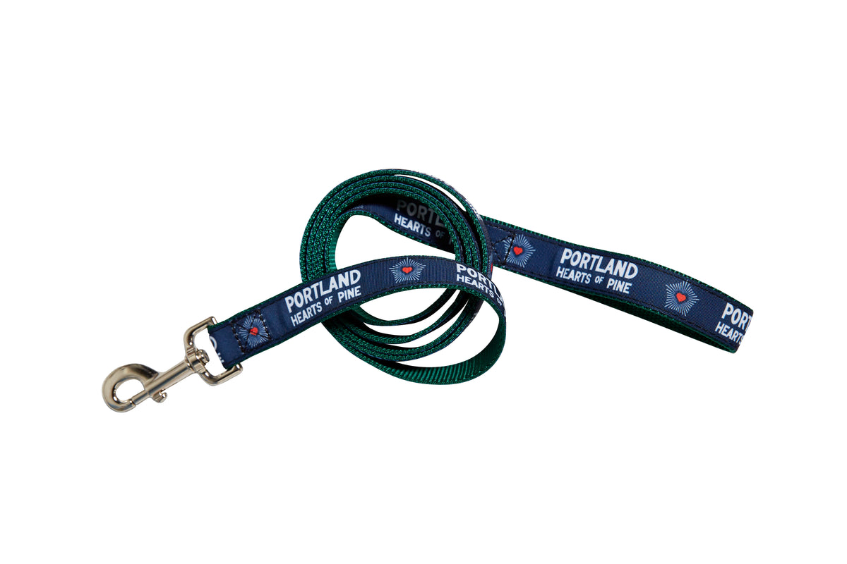 Hearts Dog Leash