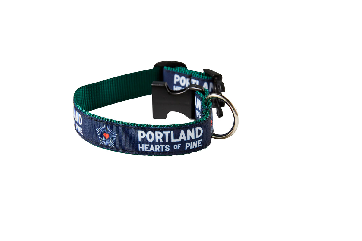 Hearts Dog Collar
