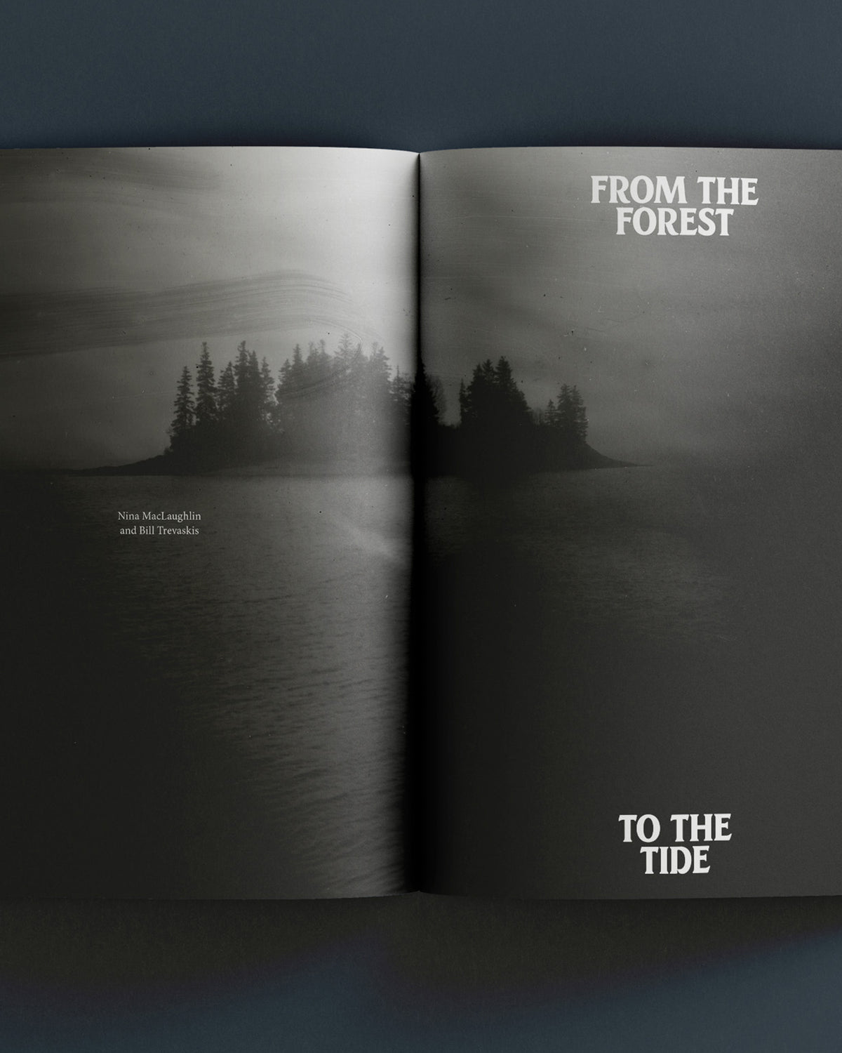 The Portland Hearts of Pine Book