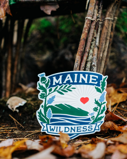 Maine Wildness Car Magnet