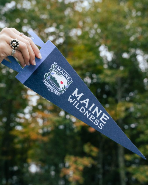 Maine Wildness Small Pennant