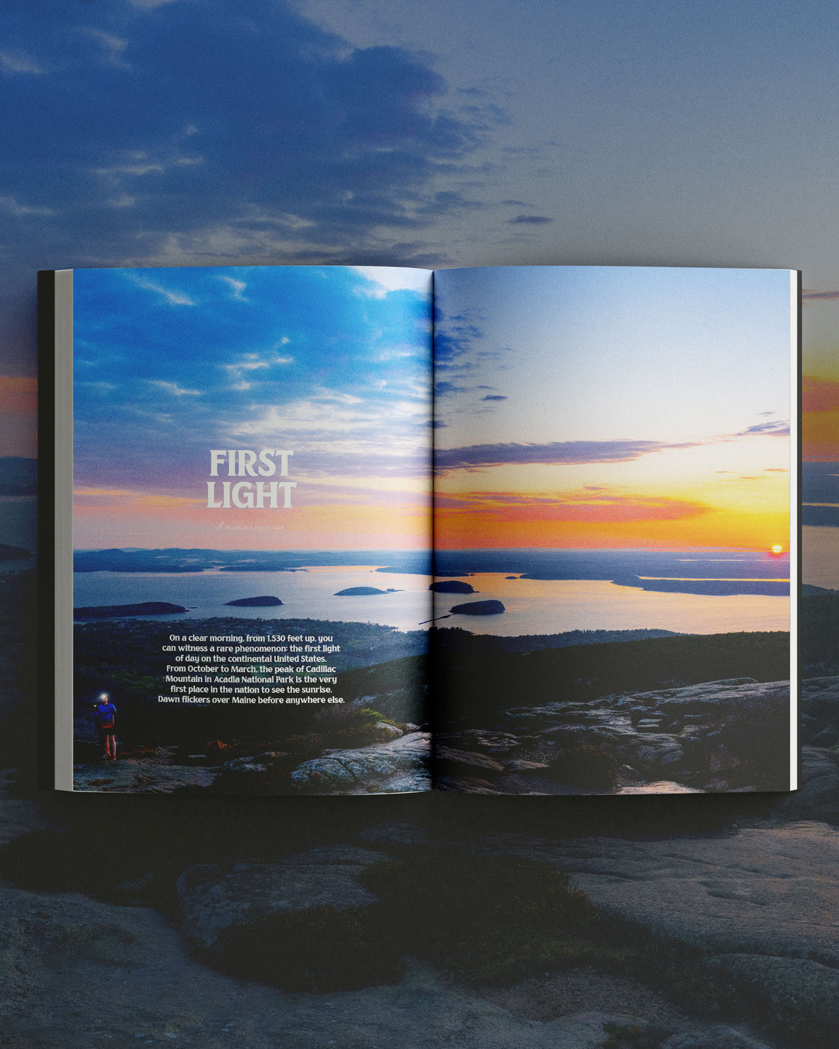 The Portland Hearts of Pine Book
